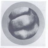 Baranyay András: Részletek egy kézből. IV. 1969.VII.9-14. színes litográfia, d: 42,5 cm.
